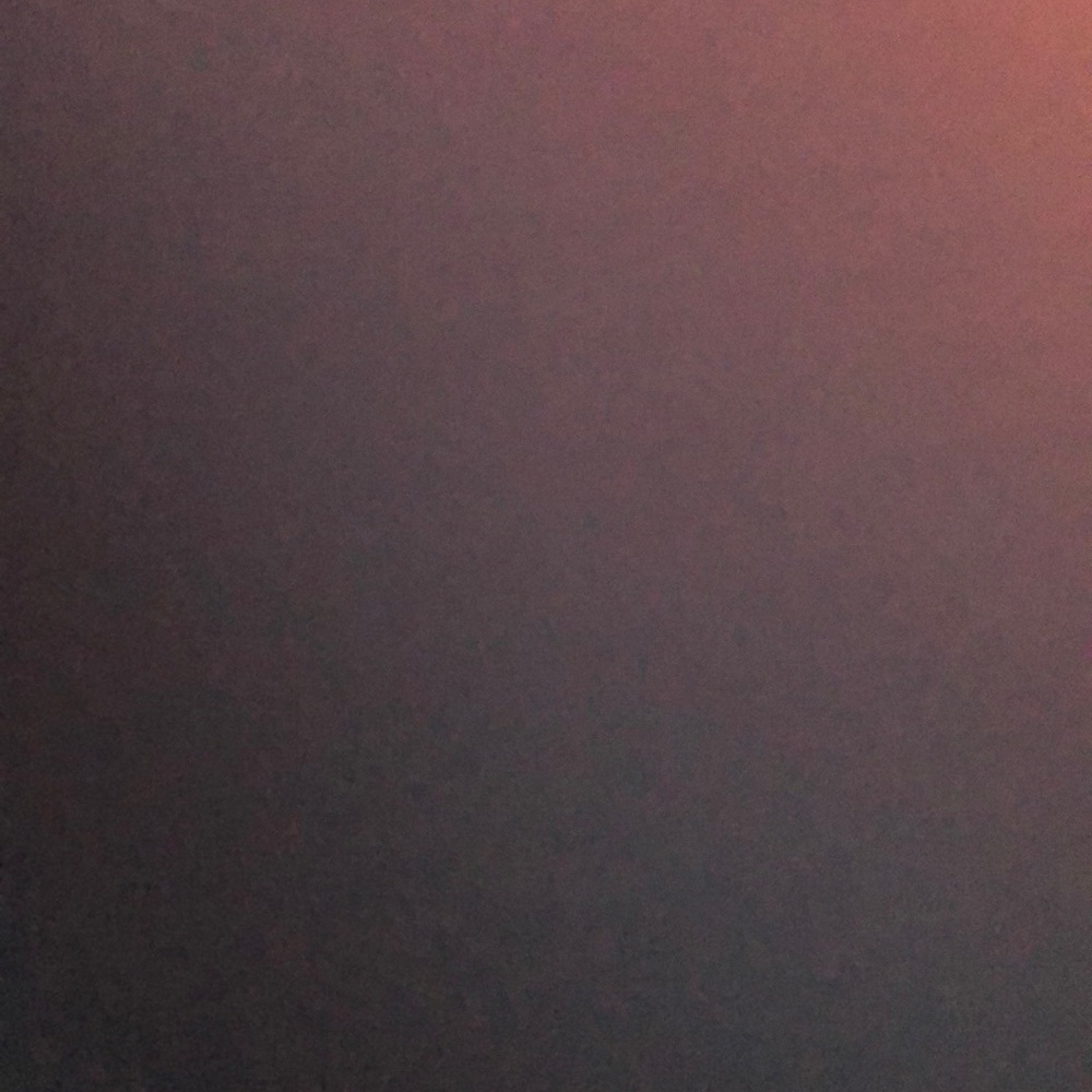 Meet your Posher, Lacey